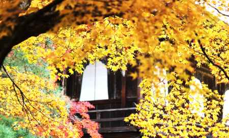 花頭窓Ⅲ＠東山慈照寺観音殿