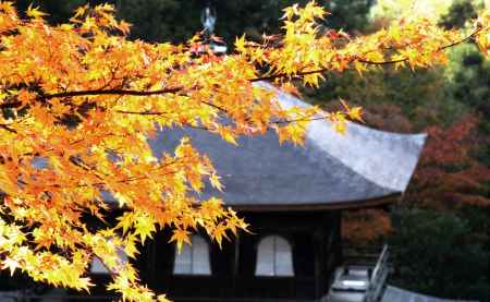 光葉＠東山慈照寺観音堂