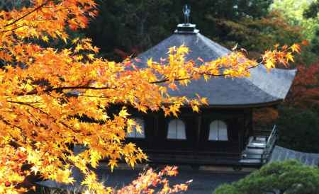 光葉Ⅲ＠東山慈照寺観音堂
