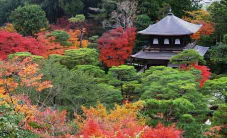 紅葉＠東山慈照寺観音堂