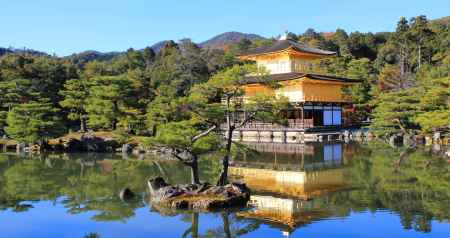 金閣寺紅葉2012⑥