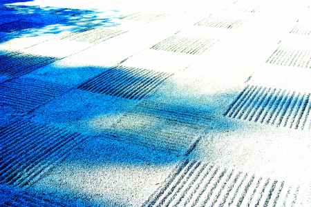 東福寺紅葉2013⑤