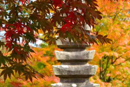 化野念仏寺紅葉2015⑥