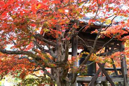 化野念仏寺紅葉2015⑦