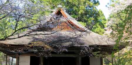 大原三千院2013春⑨