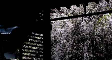 常照皇寺2015春③