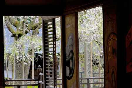 常照皇寺2015春④