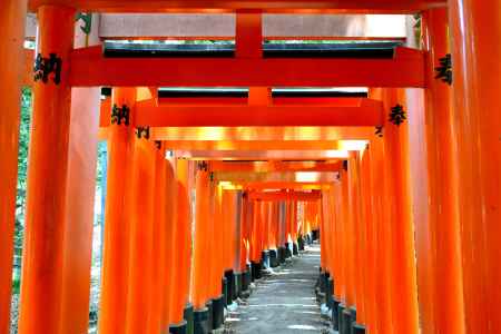 伏見稲荷2014⑨