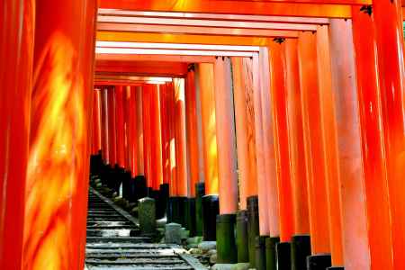 伏見稲荷2014⑯