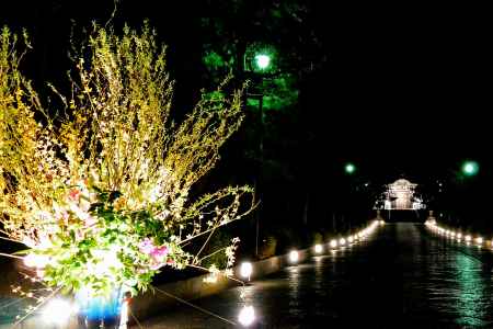東山花灯路2016-東大谷②