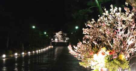 東山花灯路2016-東大谷④
