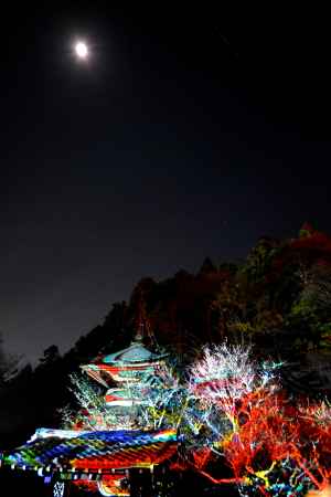 嵐山花灯路2016⑤