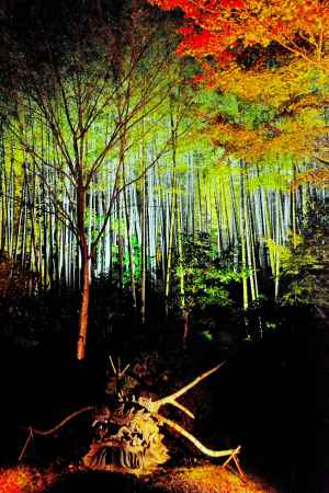 ドラゴンヘッド2016秋