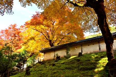 常照皇寺2016秋③
