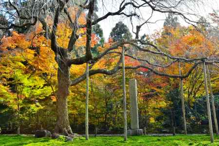 常照皇寺2016秋⑧