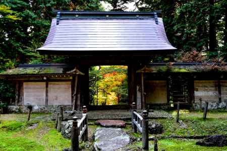 常照皇寺2016秋⑨