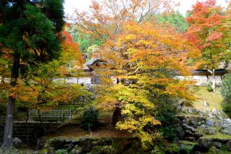 常照皇寺2016秋⑩