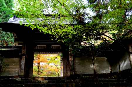 常照皇寺2016秋⑪