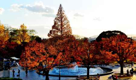 京都国立博物館の秋