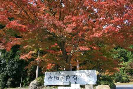 古知谷阿弥陀寺
