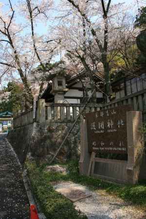 春の護国神社