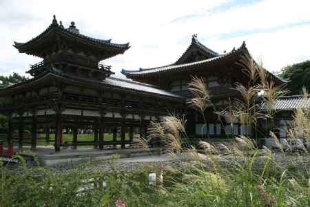 ススキと平等院