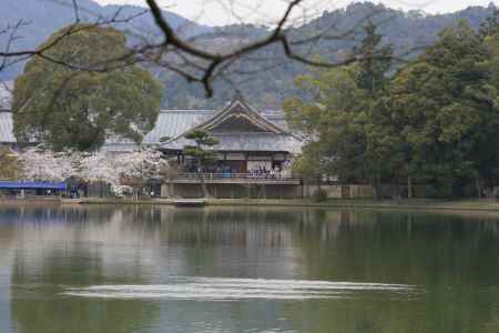大覚寺　大沢池からみる本堂