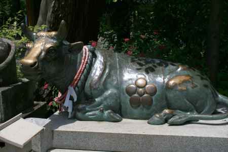 長岡天満宮の牛