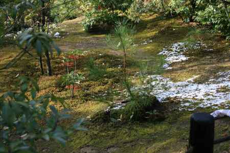 雪の残る金閣寺