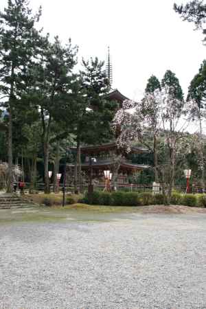 松の奥に五重塔