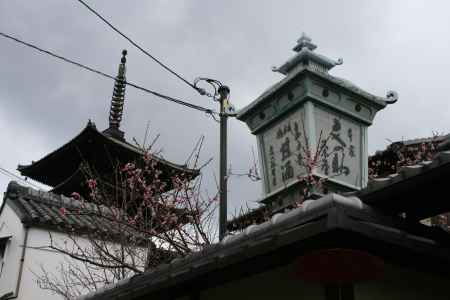 法観寺の梅