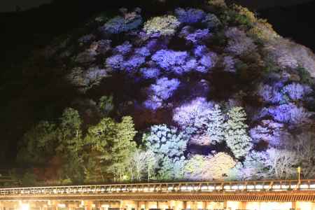 嵐山のライトアップ