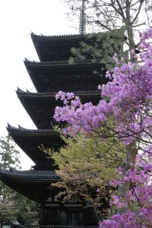 五重塔とつつじ
