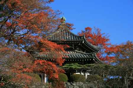 お堂と紅葉