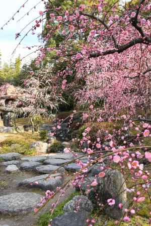 陽光に照らされて