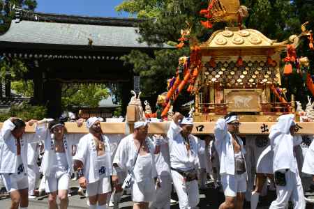 ホイットー　ホイットー