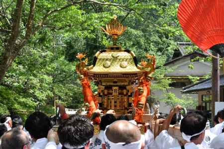 神輿　新緑の街を行く