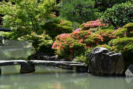 皐月咲く名勝庭園