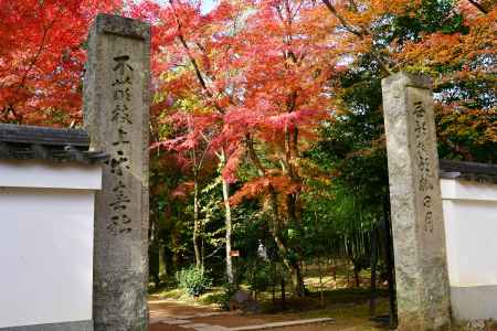 紅葉の山門
