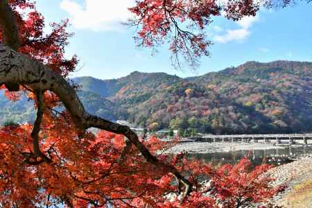 なごり紅葉と渡月橋