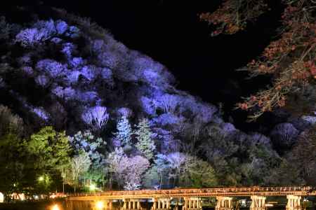 なごり紅葉とライトアップ