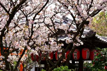 雨宝院（西陣聖天）