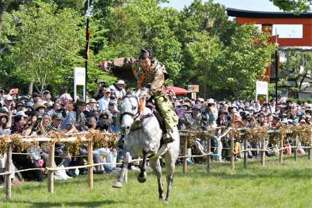 新緑の中の疾走