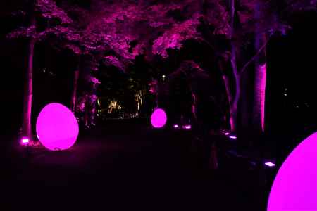 糺の森　赤く染まる