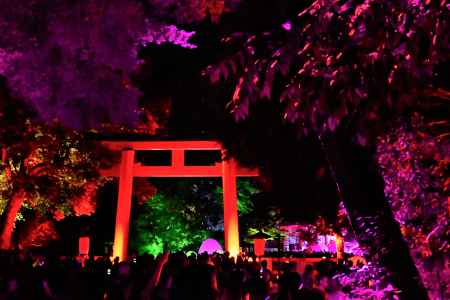 糺の森　光の祭