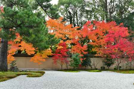 紅葉の源氏の庭