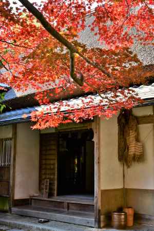 紅葉の本堂玄関