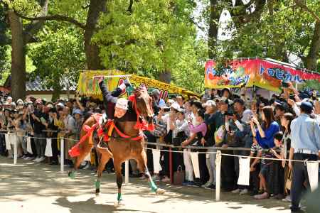 駆馬神事　藤森神社
