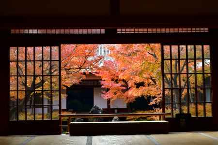 紅葉　建仁寺