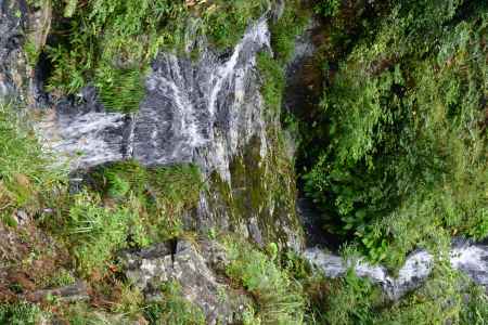 美山　蓮如の滝